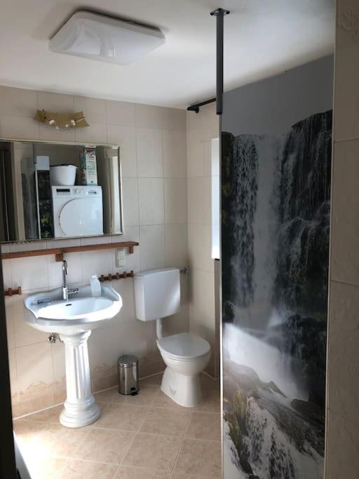 Ferienwohnung Eifel-Roedis ブランケンハイム エクステリア 写真